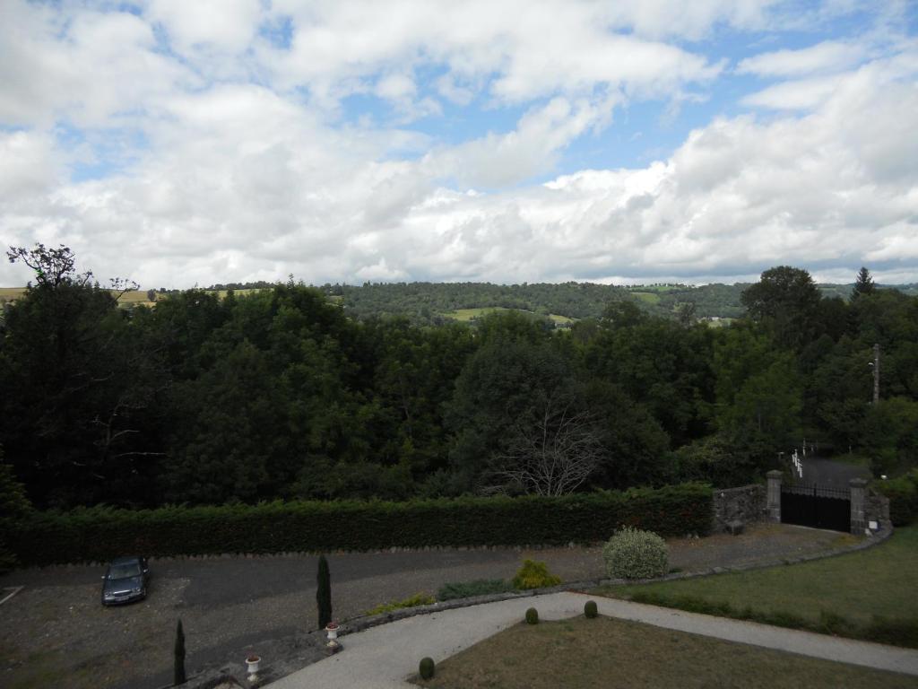Chateau De La Moissetie Aurillac Ruang foto